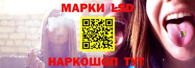 Альфа ПВП Дубна